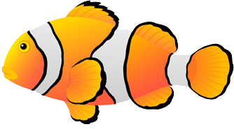 Clownfish